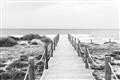 Picture of Sea Bridge To The Beach _GroupedProduct_Rectangle_Landscape_Photography _GroupedProduct_Rectangle_Landscape_Unframed_Print_Only_