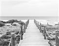 Picture of Sea Bridge To The Beach _GroupedProduct_Rectangle_Landscape_Photography _GroupedProduct_Rectangle_Landscape_Unframed_Print_Only_
