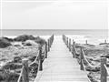 Picture of Sea Bridge To The Beach _GroupedProduct_Rectangle_Landscape_Photography _GroupedProduct_Rectangle_Landscape_Unframed_Print_Only_