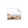 Picture of Foreshore _GroupedProduct_Rectangle_Landscape_Unframed_Print_Only_