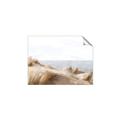Picture of Foreshore _GroupedProduct_Rectangle_Landscape_Unframed_Print_Only_