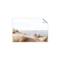 Picture of Foreshore _GroupedProduct_Rectangle_Landscape_Unframed_Print_Only_