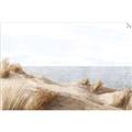 Picture of Foreshore _GroupedProduct_Rectangle_Landscape_Unframed_Print_Only_
