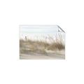 Picture of Seaside Grass _GroupedProduct_Rectangle_Landscape_Unframed_Print_Only_