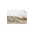 Picture of Seaside Grass _GroupedProduct_Rectangle_Landscape_Unframed_Print_Only_