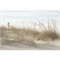 Picture of Seaside Grass _GroupedProduct_Rectangle_Landscape_Unframed_Print_Only_