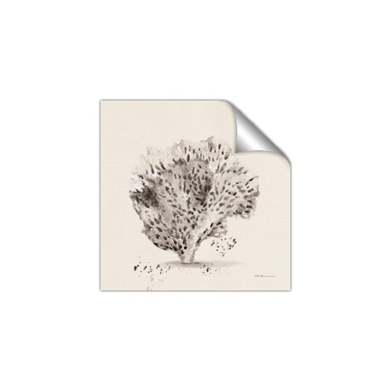 Picture of Coral Sketch II _GroupedProduct_Square_Unframed_Print_Only_