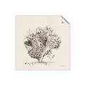 Picture of Coral Sketch II _GroupedProduct_Square_Unframed_Print_Only_