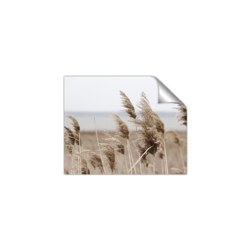 Picture of Windy Whisps _GroupedProduct_Rectangle_Landscape_Photography _GroupedProduct_Rectangle_Landscape_Unframed_Print_Only_
