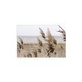 Picture of Windy Whisps _GroupedProduct_Rectangle_Landscape_Photography _GroupedProduct_Rectangle_Landscape_Unframed_Print_Only_