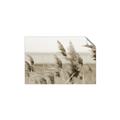 Picture of Windy Whisps _GroupedProduct_Rectangle_Landscape_Photography _GroupedProduct_Rectangle_Landscape_Unframed_Print_Only_