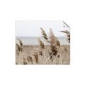 Picture of Windy Whisps _GroupedProduct_Rectangle_Landscape_Photography _GroupedProduct_Rectangle_Landscape_Unframed_Print_Only_