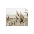 Picture of Windy Whisps _GroupedProduct_Rectangle_Landscape_Photography _GroupedProduct_Rectangle_Landscape_Unframed_Print_Only_
