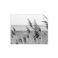 Picture of Windy Whisps _GroupedProduct_Rectangle_Landscape_Photography _GroupedProduct_Rectangle_Landscape_Unframed_Print_Only_
