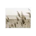 Picture of Windy Whisps _GroupedProduct_Rectangle_Landscape_Photography _GroupedProduct_Rectangle_Landscape_Unframed_Print_Only_