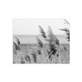 Picture of Windy Whisps _GroupedProduct_Rectangle_Landscape_Photography _GroupedProduct_Rectangle_Landscape_Unframed_Print_Only_