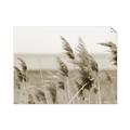 Picture of Windy Whisps _GroupedProduct_Rectangle_Landscape_Photography _GroupedProduct_Rectangle_Landscape_Unframed_Print_Only_