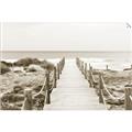 Picture of Sea Bridge To The Beach _GroupedProduct_Rectangle_Landscape_Photography _GroupedProduct_Rectangle_Landscape_Unframed_Print_Only_