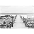 Picture of Sea Bridge To The Beach _GroupedProduct_Rectangle_Landscape_Photography _GroupedProduct_Rectangle_Landscape_Unframed_Print_Only_