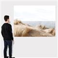 Picture of Foreshore _GroupedProduct_Rectangle_Landscape_Canvas_