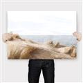 Picture of Foreshore _GroupedProduct_Rectangle_Landscape_Canvas_
