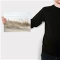 Picture of Seaside Grass _GroupedProduct_Rectangle_Landscape_Canvas_