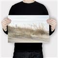 Picture of Seaside Grass _GroupedProduct_Rectangle_Landscape_Canvas_