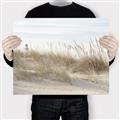 Picture of Seaside Grass _GroupedProduct_Rectangle_Landscape_Canvas_
