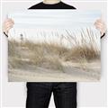Picture of Seaside Grass _GroupedProduct_Rectangle_Landscape_Canvas_