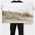 Picture of Seaside Grass _GroupedProduct_Rectangle_Landscape_Canvas_