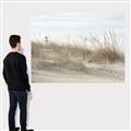 Picture of Seaside Grass _GroupedProduct_Rectangle_Landscape_Canvas_