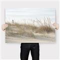 Picture of Seaside Grass _GroupedProduct_Rectangle_Landscape_Canvas_