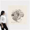 Picture of Coral Sketch II _GroupedProduct_Square_Canvas_