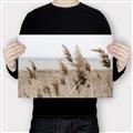 Picture of Windy Whisps _GroupedProduct_Rectangle_Landscape_Photography _GroupedProduct_Rectangle_Landscape_Canvas_