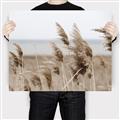 Picture of Windy Whisps _GroupedProduct_Rectangle_Landscape_Photography _GroupedProduct_Rectangle_Landscape_Canvas_