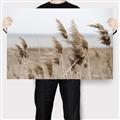 Picture of Windy Whisps _GroupedProduct_Rectangle_Landscape_Photography _GroupedProduct_Rectangle_Landscape_Canvas_
