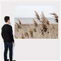Picture of Windy Whisps _GroupedProduct_Rectangle_Landscape_Photography _GroupedProduct_Rectangle_Landscape_Canvas_