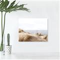 Picture of Foreshore _GroupedProduct_Rectangle_Landscape_Canvas_