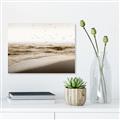 Picture of Fly Away _GroupedProduct_Rectangle_Landscape_Photography _GroupedProduct_Rectangle_Landscape_Canvas_