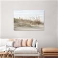Picture of Seaside Grass _GroupedProduct_Rectangle_Landscape_Canvas_