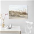 Picture of Seaside Grass _GroupedProduct_Rectangle_Landscape_Canvas_