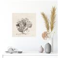 Picture of Coral Sketch II _GroupedProduct_Square_Canvas_