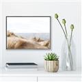 Picture of Foreshore _GroupedProduct_Rectangle_Landscape_Canvas_Framed_