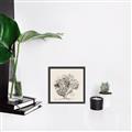 Picture of Coral Sketch II _GroupedProduct_Square_Canvas_Framed_