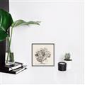Picture of Coral Sketch II _GroupedProduct_Square_Canvas_Framed_
