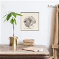Picture of Coral Sketch II _GroupedProduct_Square_Canvas_Framed_