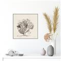Picture of Coral Sketch II _GroupedProduct_Square_Canvas_Framed_