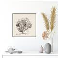 Picture of Coral Sketch II _GroupedProduct_Square_Canvas_Framed_
