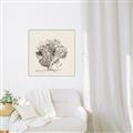 Picture of Coral Sketch II _GroupedProduct_Square_Canvas_Framed_