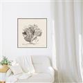 Picture of Coral Sketch II _GroupedProduct_Square_Canvas_Framed_